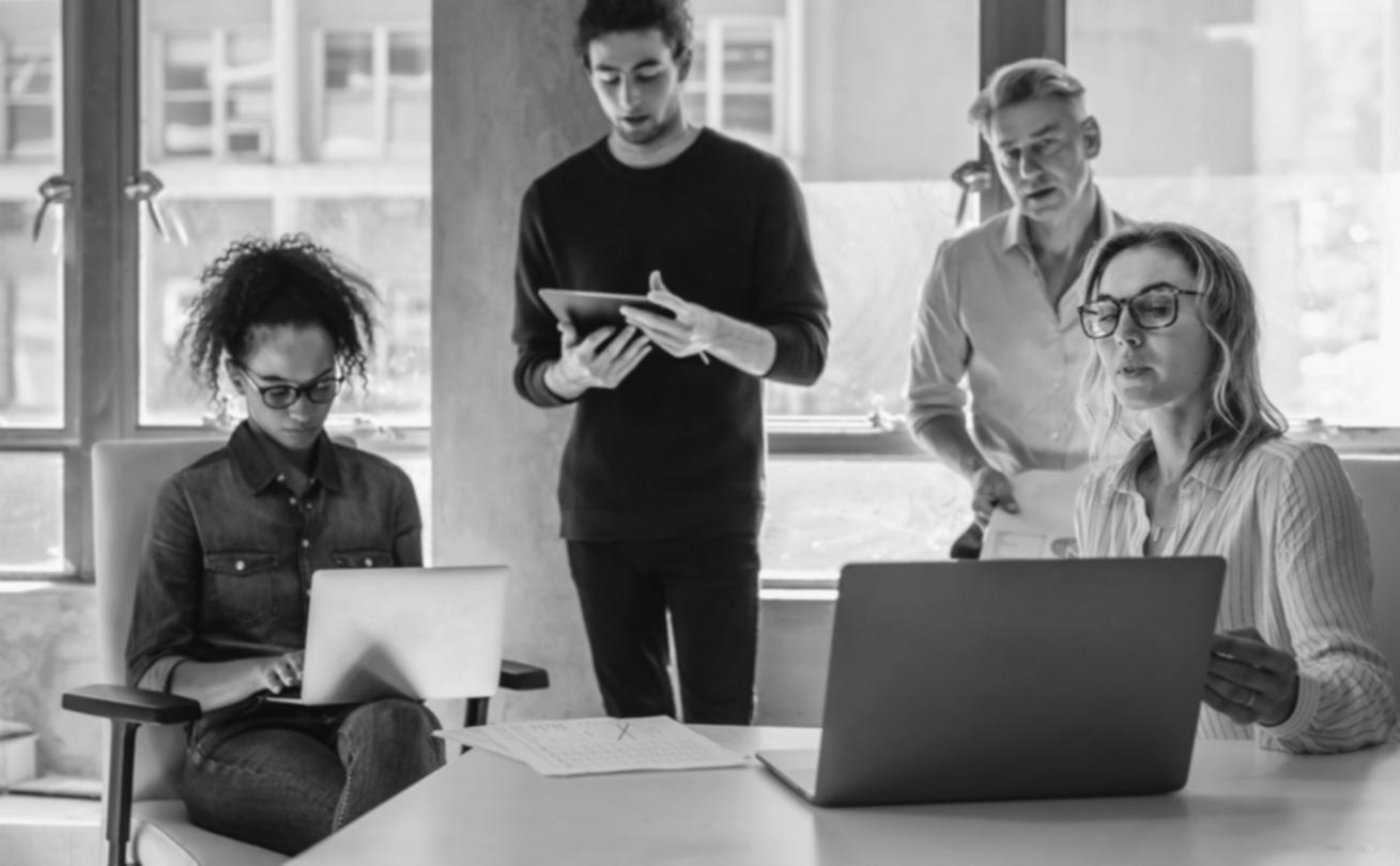 Investment learning materials and financial analysis tools